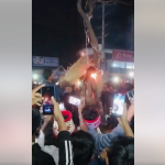 সংখ্যালঘু হত্যা